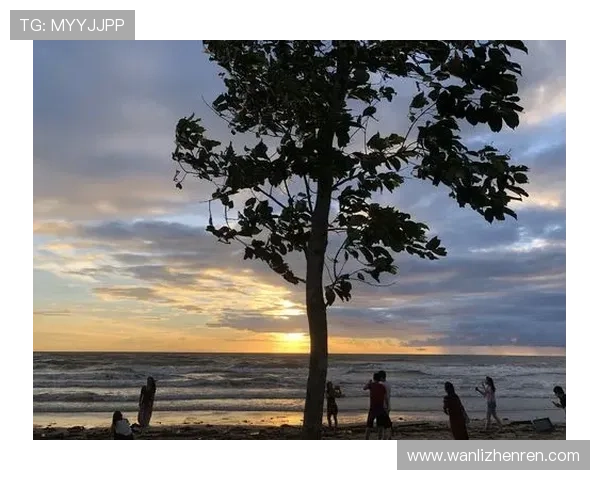 沙巴真人在线娱乐体验指南,提升您的游戏技巧与获胜概率 沙巴真人在线娱乐体验指南,提升您的游戏技巧与获胜概率