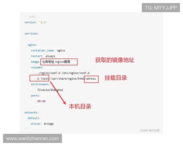 掌握叶汉三株路技巧实现游戏中资源最大化利用的详细操作步骤